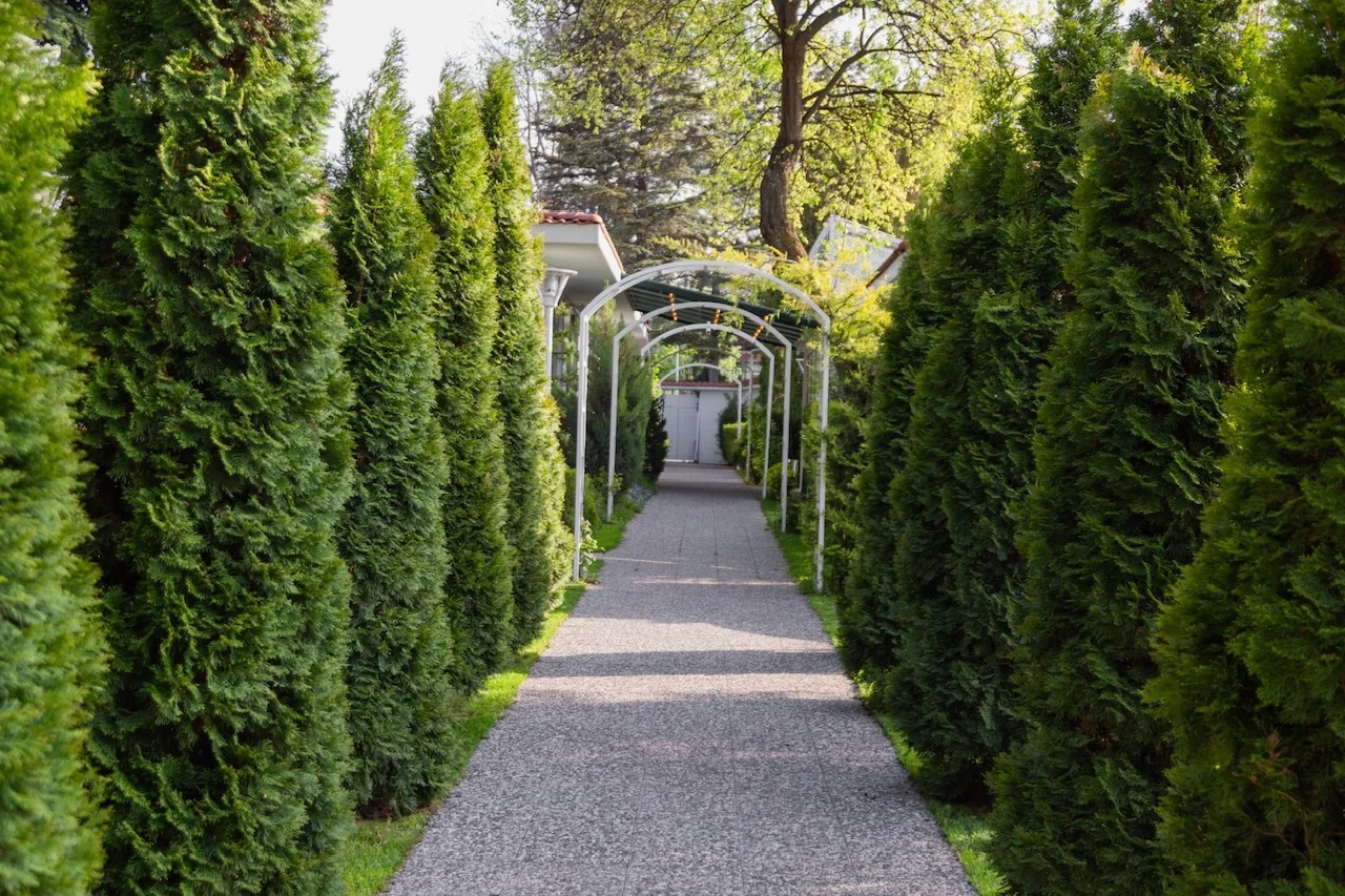 İNCEK GARDEN Kır Düğünü Ankara - Düğün Salonu Fotoğrafı küçük 4